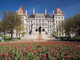 New-York-Online-Poker-Legislation-Moves-Forward
