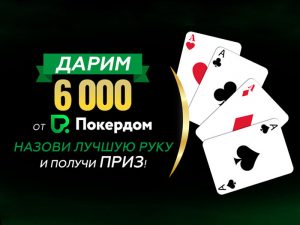 «Кто фаворит?»