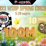 На ПокерОК стартует серия WSOP Circuit Spring