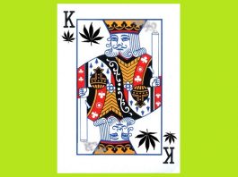 Покер и марихуана конопля стихи