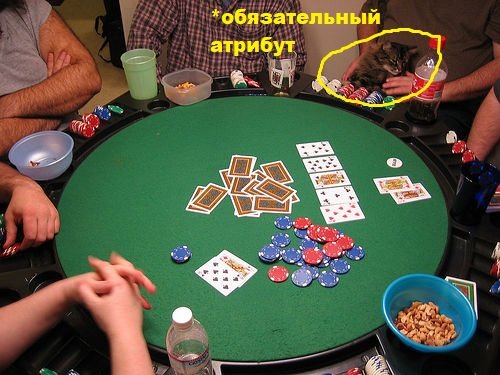 Аргументы в пользу избавления от Pokerdom