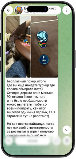 Андрей Котельников