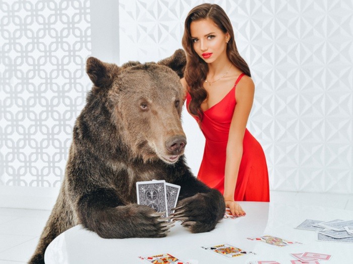 Дарья Фещенко сыграла в покер с медведем