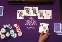 Какие серии пройдут в "Казино Сочи" в 2020 году