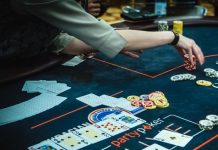 Календарь partypoker LIVE 2019: Алтай, Сочи, Кипр и другие события