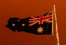 Казино Crown Resorts пожертвовало $3,400,000 на борьбу с австралийскими лесными пожарами