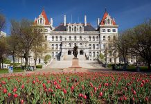 Штат Нью-Йорк продвигается в легализации онлайн-покера