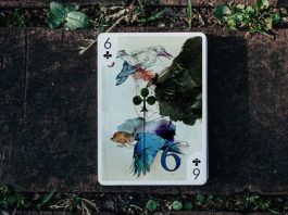Playing_Arts_ZERO_колода