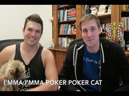 Poker Cat Rap