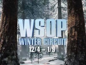 Первые победы Бодяковского и Мартиросяна: как прошел первый день серии WSOP Circuit на ПокерОК