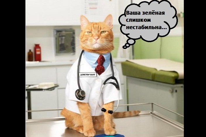 шутка про зеленую линию с котиком