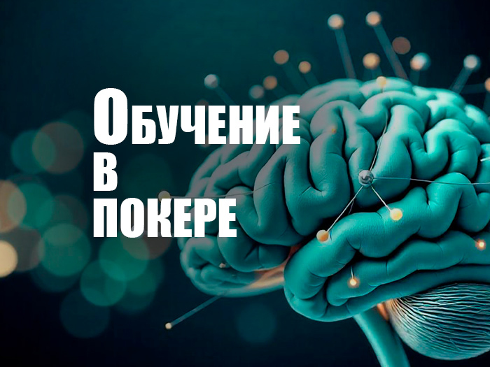 Как организовать обучение в покере?