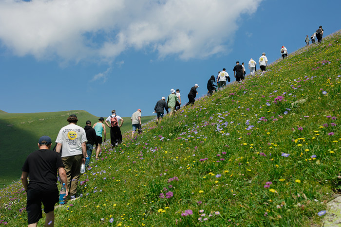 Фонд Гринлайн